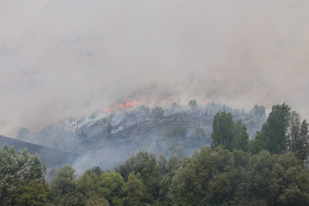 Elazığ'da orman yangını 40